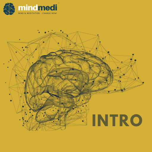 Mindmedi Intro